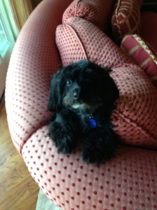 Bogey, safe and sound.